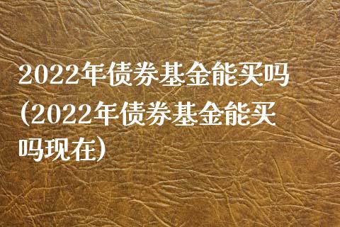 2022年债券基金能买吗(2022年债券基金能买吗现在)_https://www.yunyouns.com_期货直播_第1张