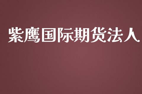 紫鹰国际期货法人_https://www.yunyouns.com_股指期货_第1张