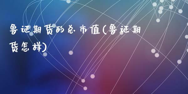 鲁证期货的总市值(鲁证期货怎样)_https://www.yunyouns.com_期货直播_第1张