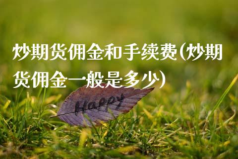 炒期货佣金和手续费(炒期货佣金一般是多少)_https://www.yunyouns.com_股指期货_第1张