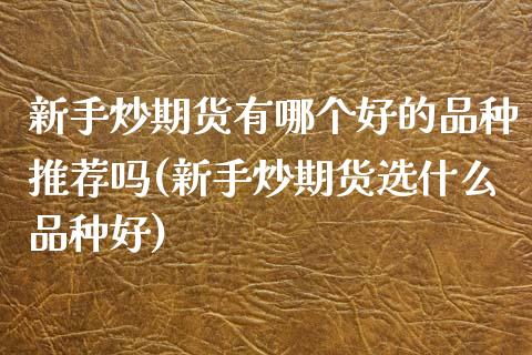 新手炒期货有哪个好的品种推荐吗(新手炒期货选什么品种好)_股指期货_第1张_原油期货直播室 新手炒期货有哪个好的品种推荐吗(新手炒期货选什么品种好)_https://www.yunyouns.com_股指期货_第1张