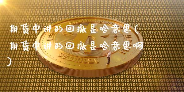 期货中讲的回撤是啥意思(期货中讲的回撤是啥意思啊)_https://www.yunyouns.com_期货行情_第1张