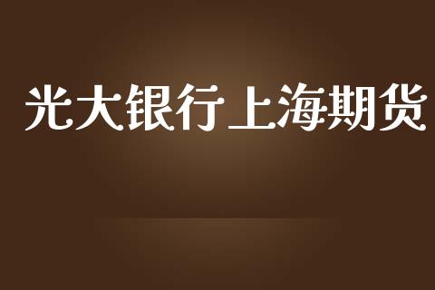 光大银行上海期货_https://www.yunyouns.com_恒生指数_第1张