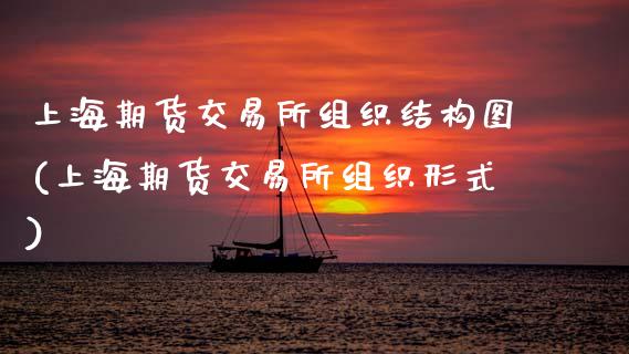 上海期货交易所组织结构图(上海期货交易所组织形式)_https://www.yunyouns.com_股指期货_第1张