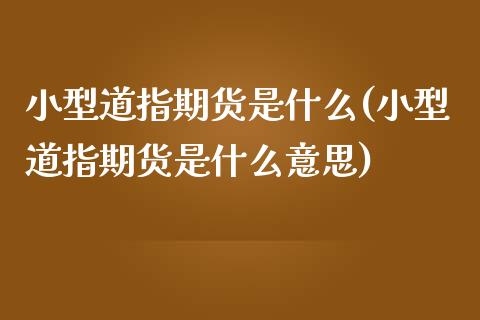 小型道指期货是什么(小型道指期货是什么意思)_期货行情_第1张_原油期货直播室 小型道指期货是什么(小型道指期货是什么意思)_https://www.yunyouns.com_期货行情_第1张