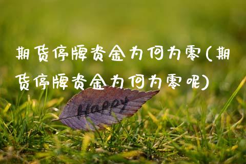 期货停牌资金为何为零(期货停牌资金为何为零呢)_https://www.yunyouns.com_股指期货_第1张