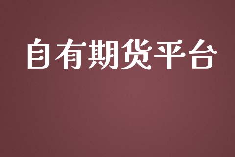 自有期货平台_https://www.yunyouns.com_恒生指数_第1张