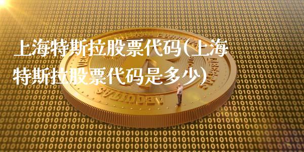 上海特斯拉股票代码(上海特斯拉股票代码是多少)_https://www.yunyouns.com_期货行情_第1张