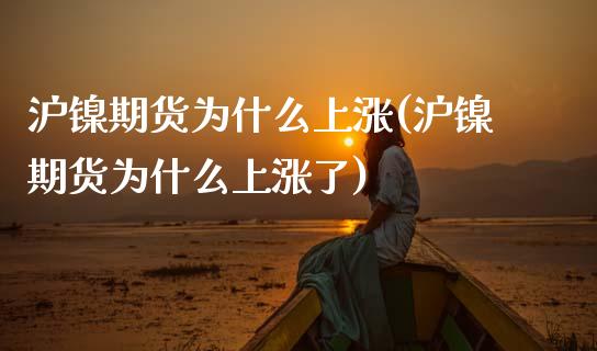 沪镍期货为什么上涨(沪镍期货为什么上涨了)_https://www.yunyouns.com_股指期货_第1张