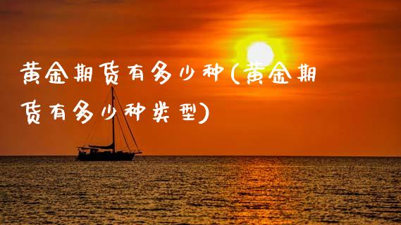 黄金期货有多少种(黄金期货有多少种类型)_https://www.yunyouns.com_股指期货_第1张