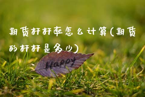 期货杆杆率怎么计算(期货的杆杆是多少)_https://www.yunyouns.com_恒生指数_第1张