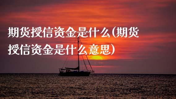 期货授信资金是什么(期货授信资金是什么意思)_期货直播_第1张_原油期货直播室 期货授信资金是什么(期货授信资金是什么意思)_https://www.yunyouns.com_期货直播_第1张
