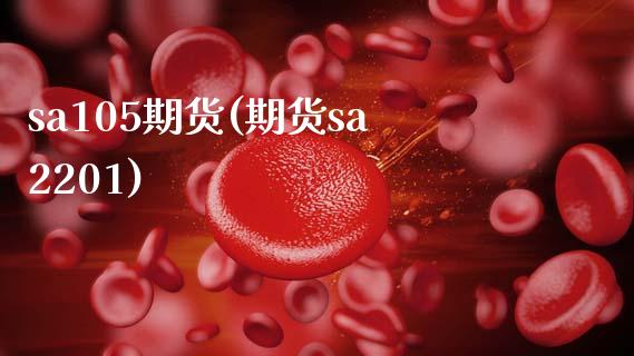 sa105期货(期货sa2201)_https://www.yunyouns.com_股指期货_第1张
