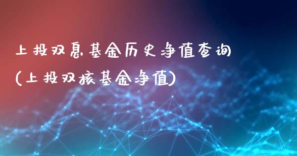 上投双息基金历史净值查询(上投双核基金净值)_https://www.yunyouns.com_恒生指数_第1张