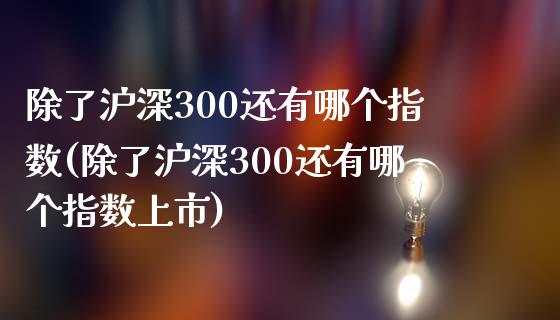 除了沪深300还有哪个指数(除了沪深300还有哪个指数上市)_https://www.yunyouns.com_恒生指数_第1张