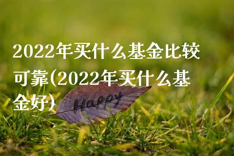 2022年买什么基金比较可靠(2022年买什么基金好)_https://www.yunyouns.com_期货直播_第1张
