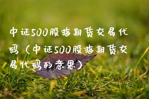 中证500股指期货交易代码（中证500股指期货交易代码的意思）_https://www.yunyouns.com_恒生指数_第1张