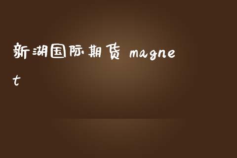 新湖国际期货 magnet_https://www.yunyouns.com_期货直播_第1张