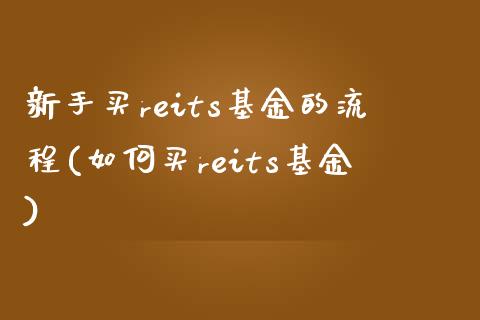 新手买reits基金的流程(如何买reits基金)_https://www.yunyouns.com_股指期货_第1张