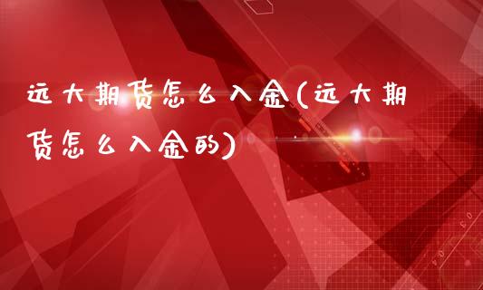 远大期货怎么入金(远大期货怎么入金的)_https://www.yunyouns.com_期货直播_第1张