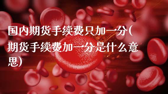 国内期货手续费只加一分(期货手续费加一分是什么意思)_https://www.yunyouns.com_期货直播_第1张