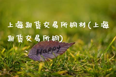 上海期货交易所铜材(上海期货交易所铜)_https://www.yunyouns.com_期货行情_第1张