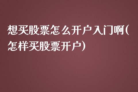 想买股票怎么开户入门啊(怎样买股票开户)_恒生指数_第1张_原油期货直播室 想买股票怎么开户入门啊(怎样买股票开户)_https://www.yunyouns.com_恒生指数_第1张