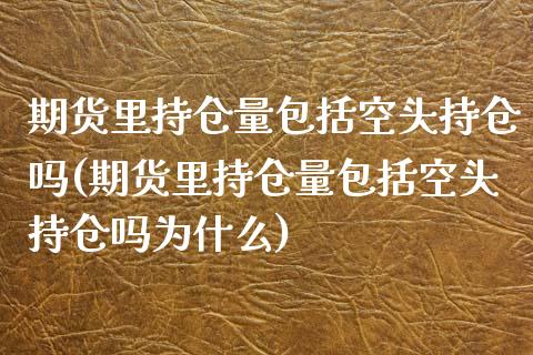 期货里持仓量包括空头持仓吗(期货里持仓量包括空头持仓吗为什么)_https://www.yunyouns.com_股指期货_第1张