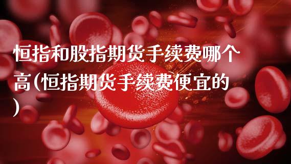 恒指和股指期货手续费哪个高(恒指期货手续费便宜的)_https://www.yunyouns.com_恒生指数_第1张