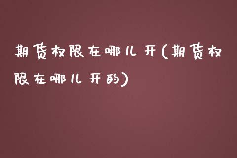 期货权限在哪儿开(期货权限在哪儿开的)_https://www.yunyouns.com_期货行情_第1张