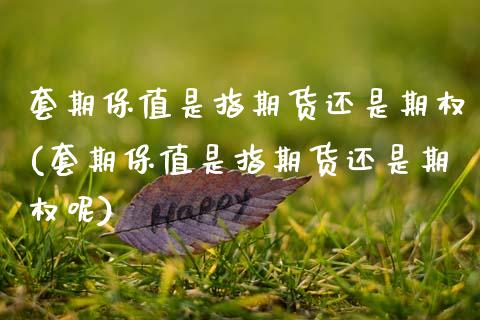 套期保值是指期货还是期权(套期保值是指期货还是期权呢)_https://www.yunyouns.com_股指期货_第1张