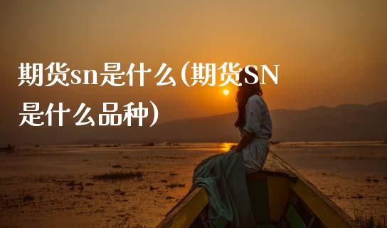 期货sn是什么(期货SN是什么品种)_https://www.yunyouns.com_恒生指数_第1张