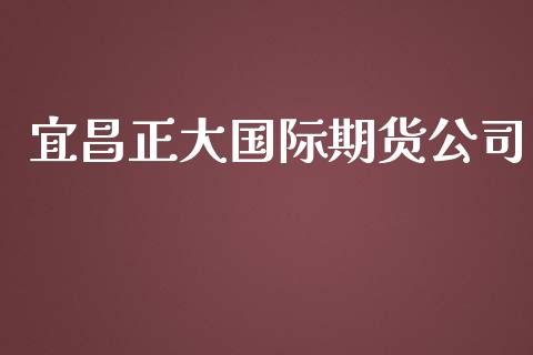 宜昌正大国际期货公司_https://www.yunyouns.com_股指期货_第1张