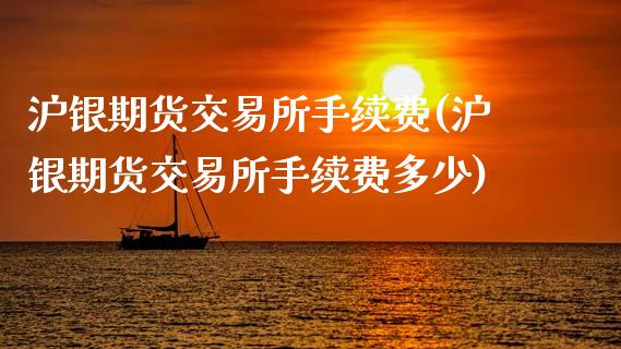 沪银期货交易所手续费(沪银期货交易所手续费多少)_https://www.yunyouns.com_股指期货_第1张